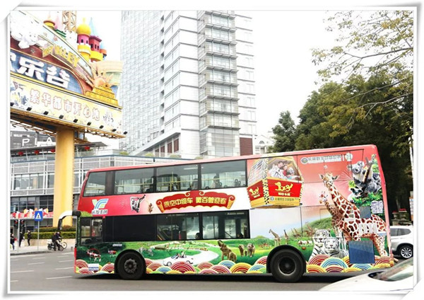 動(dòng)物伴你同行，這個(gè)公交車廣告有點(diǎn)萌哦!