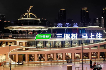 地標廣告聯(lián)動游輪廣告，三棵樹品牌驚爆上海外灘!