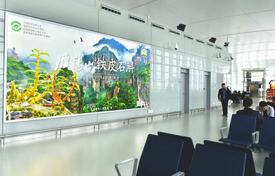 溫州機(jī)場出發(fā)安檢后左右指廊燈箱廣告