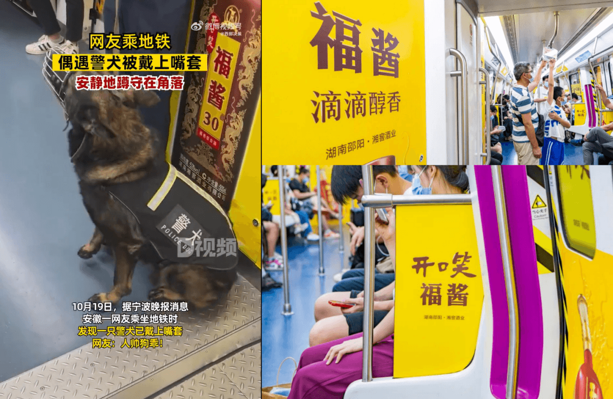 長沙地鐵廣告價格多少錢？長沙地鐵列車內(nèi)包車廣告全線覆蓋酒案例