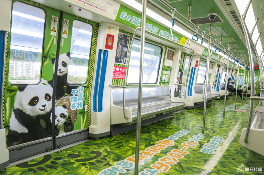 寧波地鐵車廂廣告價格多少錢？寧波地鐵廣告經(jīng)典全包車案例動物園